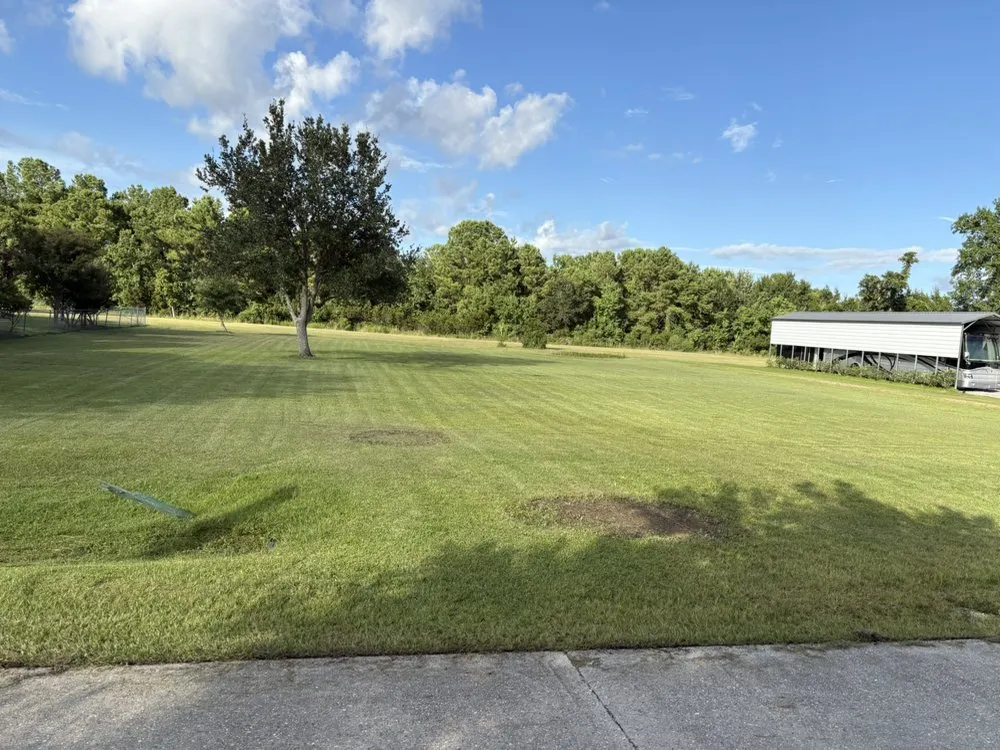 Affordable yard maintenance in Bay St. Louis, MS - Bayou Breeze Lawn Solutions