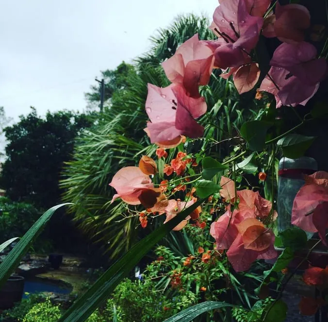 Custom landscape installation in Houston, TX - Bayou City Beautiful