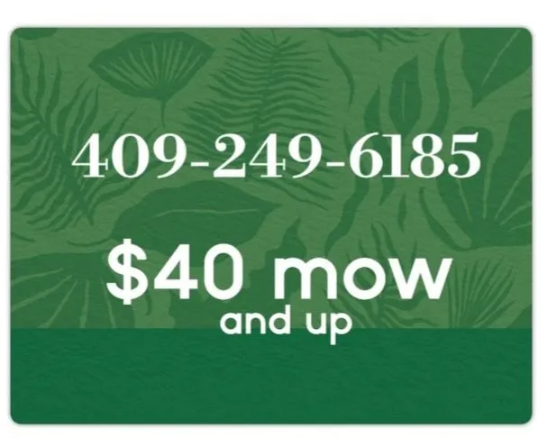 Expert yard cleanup service experts serving Orange, TX - Bayou Grass