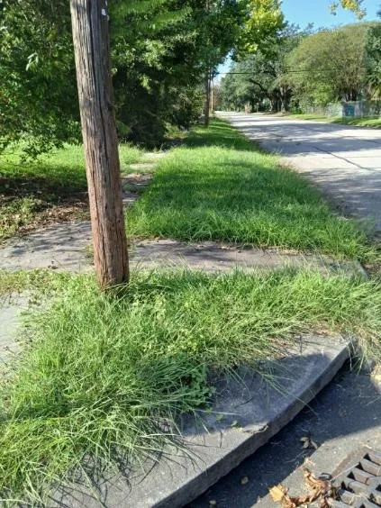 Local residential landscaping in Orange, TX by Bayou Grass