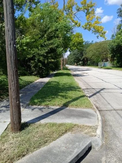 Custom outdoor landscaping with custom design in Orange, TX by Bayou Grass
