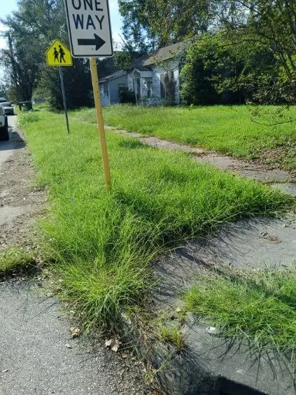 Expert residential landscaping in Orange, TX by Bayou Grass