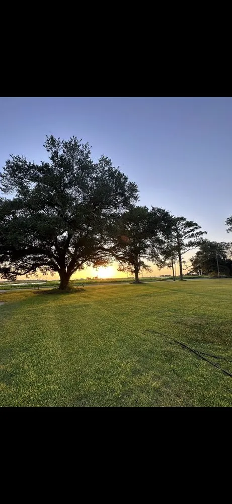 Affordable landscaping services experts serving Boyce, LA - Bayou Klean