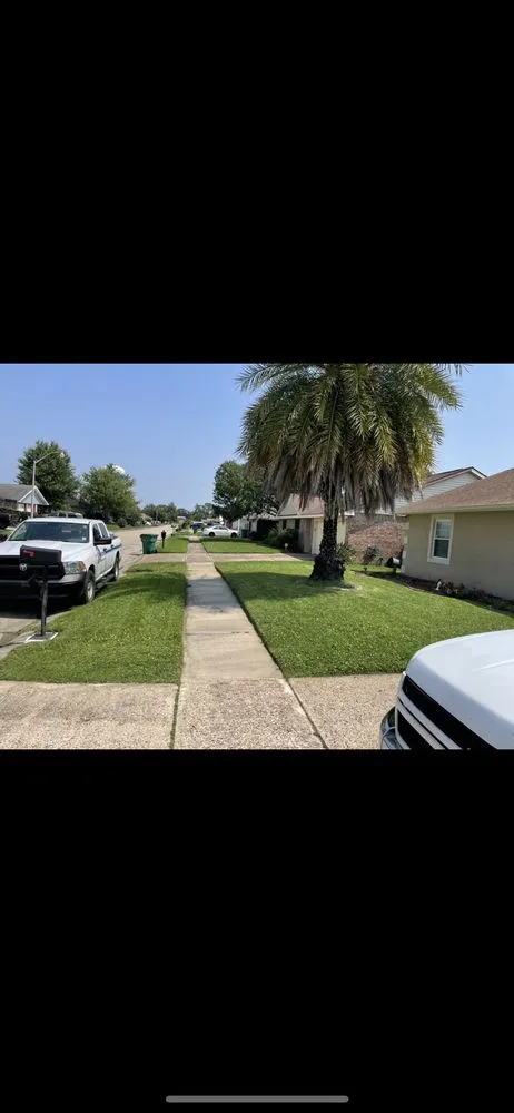 Expert landscape design for year-round maintenance across Marrero, LA - Bayou Lawn And Landscaping