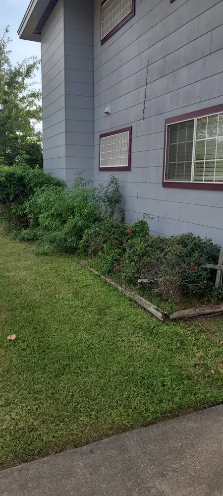 Trusted landscaping services for homes across Lake Charles, LA - Bayou Teche Landcare