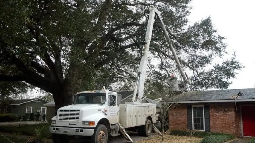 Professional outdoor landscaping in Jeanerette, LA - Bayouside Tree Service