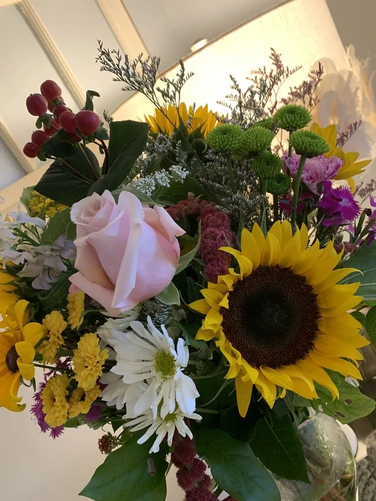 Reliable landscaping services for outdoor upgrades across Bayport, NY - Bayport Flower Houses