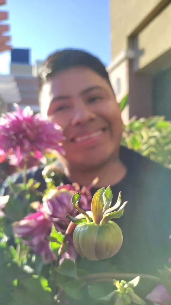 Local garden landscaping experts serving San Jose, CA - Bayron Landscape