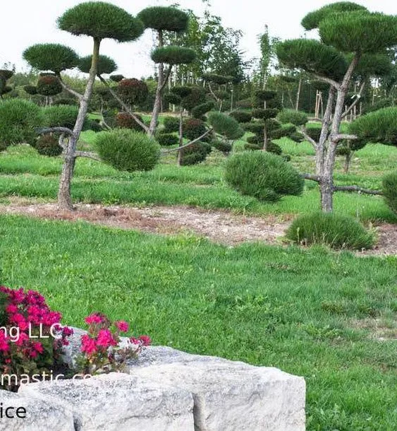 Expert lawn care service in Mastic, NY by Bayron Landscaping