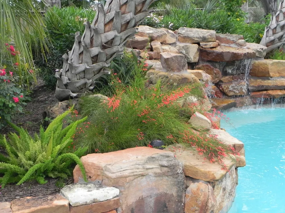 Expert landscape installation for year-round maintenance across Houston, TX - Bayside Landscape Services