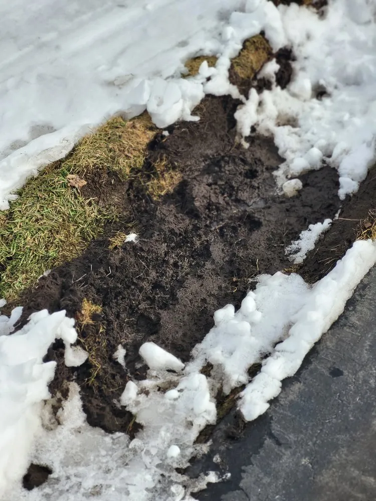 Top-rated yard maintenance in Rochester, NY - Bayside Lawn And Landscape