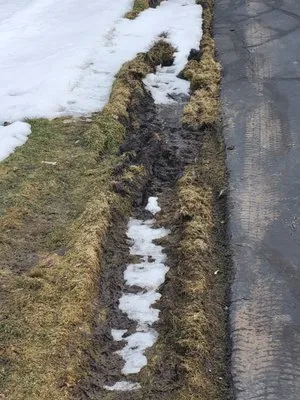 Bayside Lawn And Landscape Logo