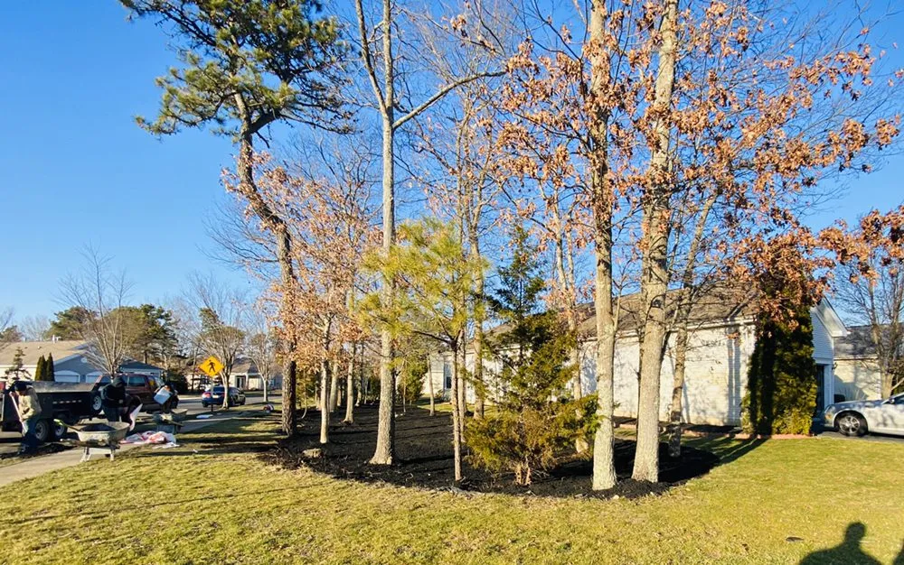 Trusted landscape design in Northfield, NJ - Bayside Lawn Care