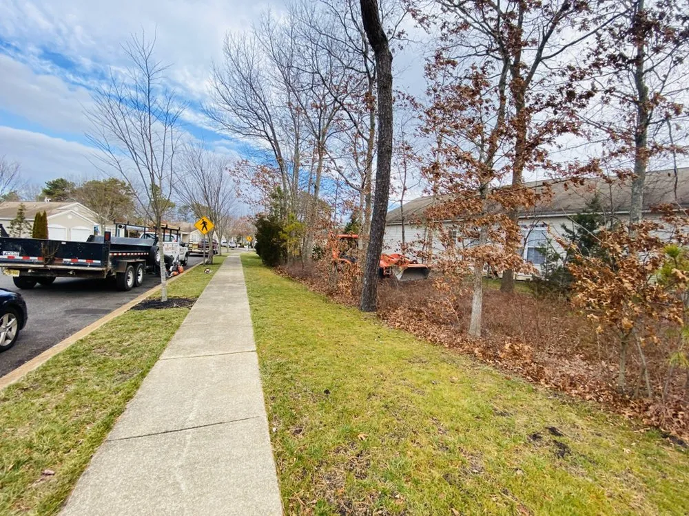 Affordable outdoor landscaping in Northfield, NJ by Bayside Lawn Care