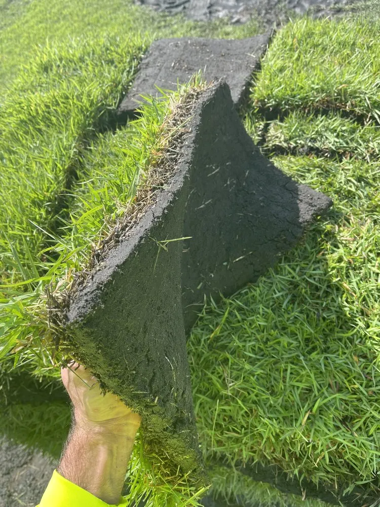 Reliable lawn mowing service in Bradenton, FL - Bayside Sod