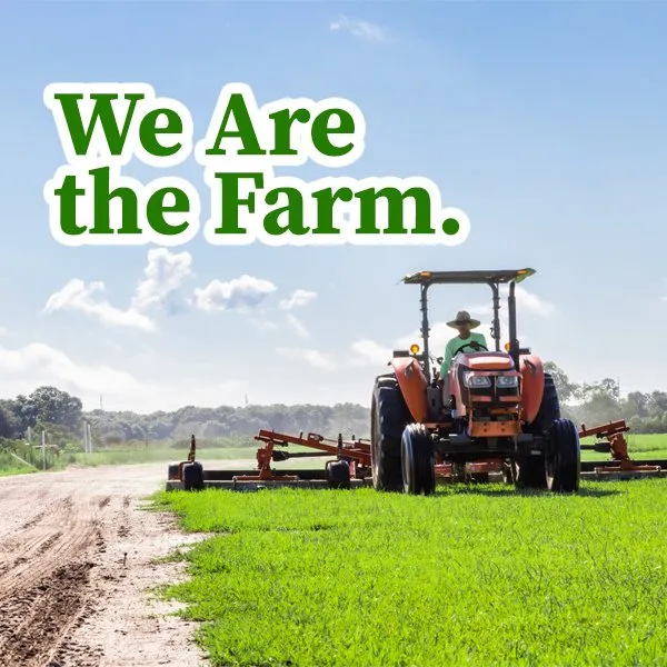 Affordable landscape design with custom design in Bradenton, FL by Bayside Sod