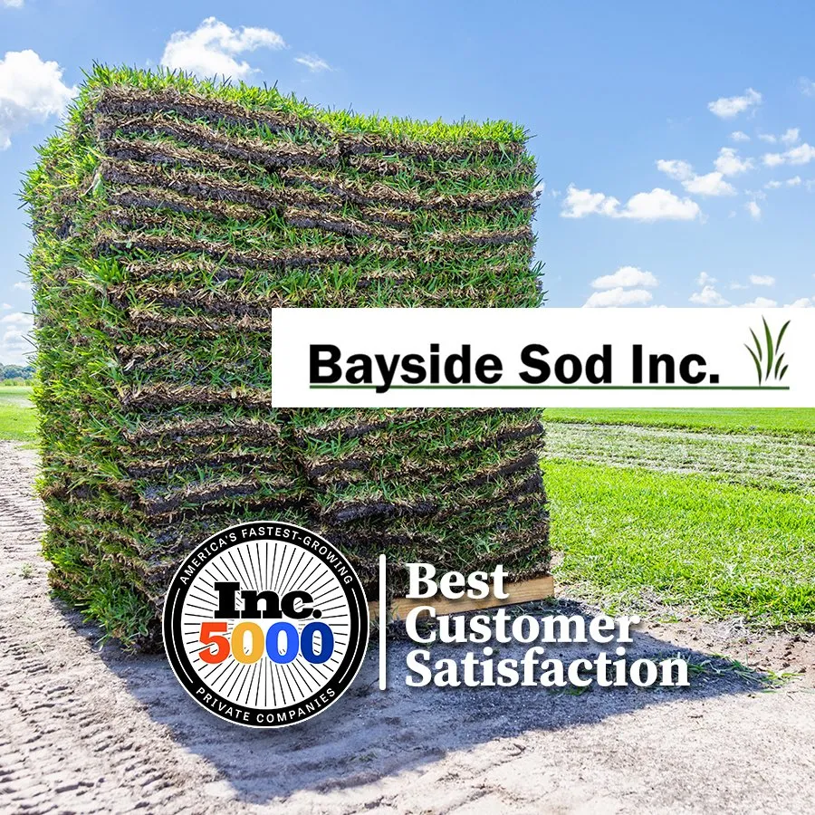 Top-rated garden landscaping in Bradenton, FL - Bayside Sod