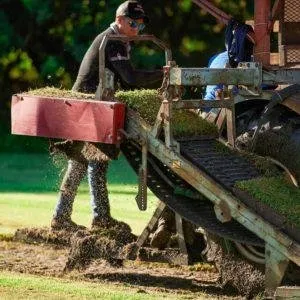 Professional yard cleanup service for year-round maintenance across Bradenton, FL - Bayside Sod
