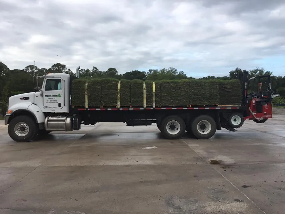 Top-rated landscape installation in Bradenton, FL - Bayside Sod