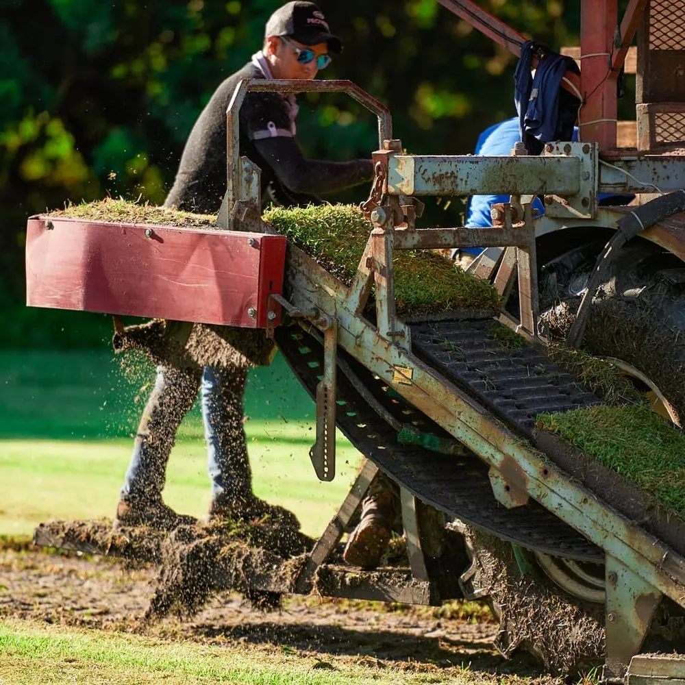 Affordable lawn mowing service with custom design across Bradenton, FL - Bayside Sod