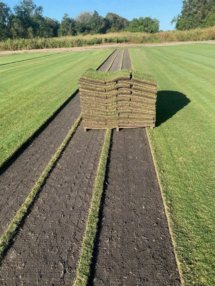 Trusted outdoor landscaping in Bradenton, FL - Bayside Sod
