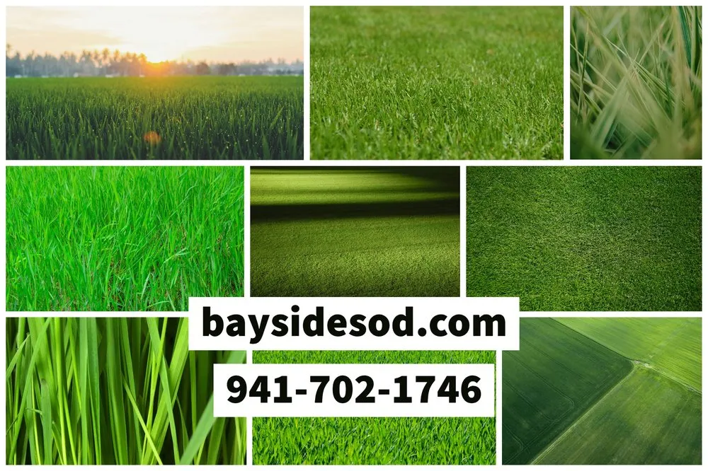 Trusted yard maintenance in Bradenton, FL - Bayside Sod