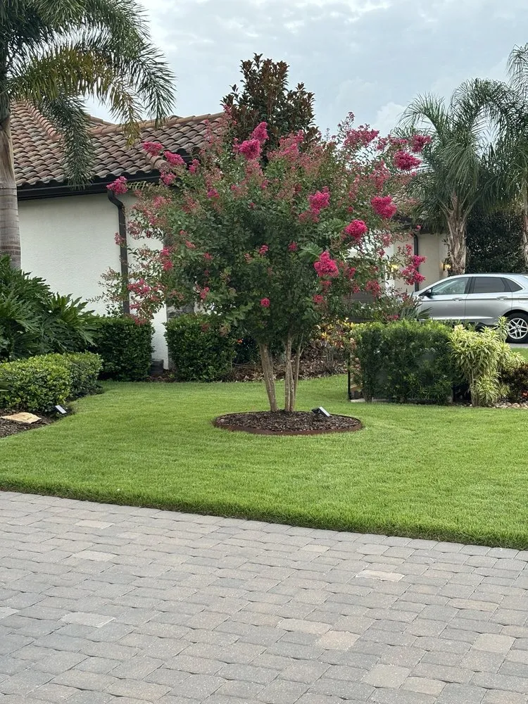 Local landscape installation experts serving Bradenton, FL - Bayside Sod