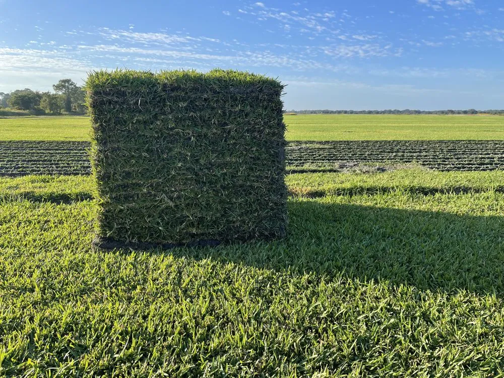 Affordable landscape design in Bradenton, FL - Bayside Sod