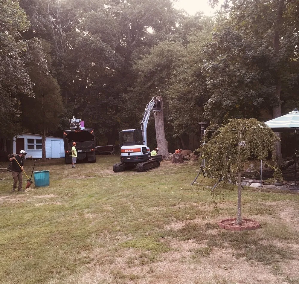 Local garden landscaping in Kingstown, RI - Bayside Tree