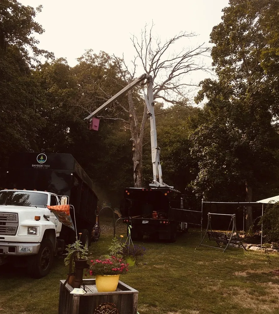 Professional garden landscaping in Kingstown, RI - Bayside Tree