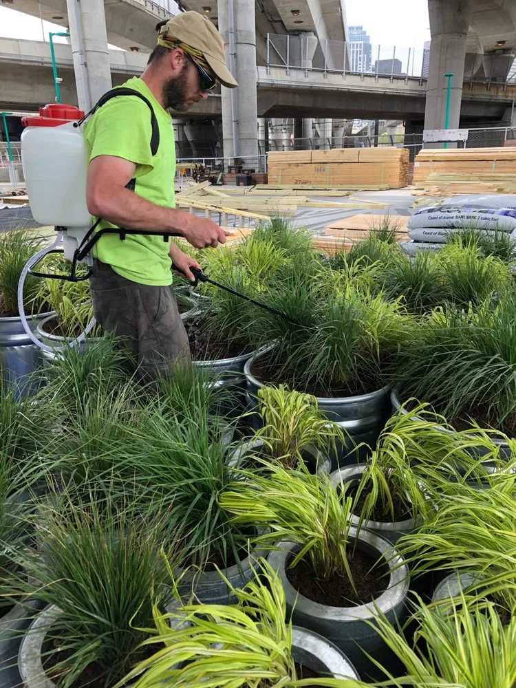 Top-rated landscape design experts serving Ashland, MA - BayState Landscapes & Construction