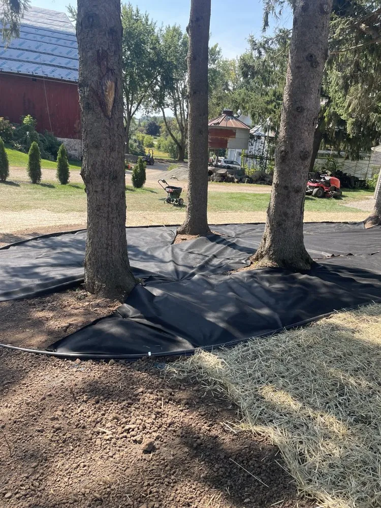 Top-rated residential landscaping in Appleton, WI by Baythorn Freelancing Services