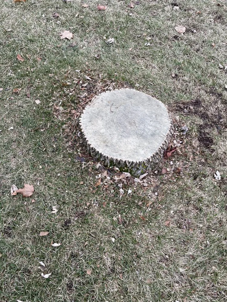 Top-rated landscape installation in Appleton, WI - Baythorn Freelancing Services