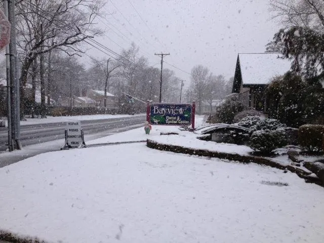 Custom yard cleanup service in Northfield, NJ - Bayview Garden Nurseries