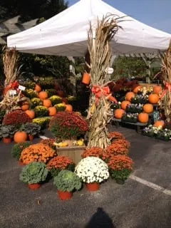 Affordable yard maintenance in Northfield, NJ by Bayview Garden Nurseries