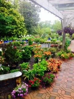 Trusted outdoor landscaping for year-round maintenance in Northfield, NJ by Bayview Garden Nurseries