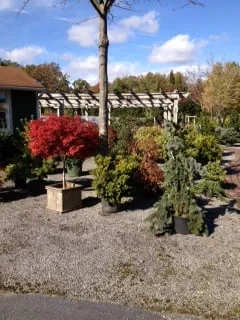 Expert landscape installation experts serving Northfield, NJ - Bayview Garden Nurseries