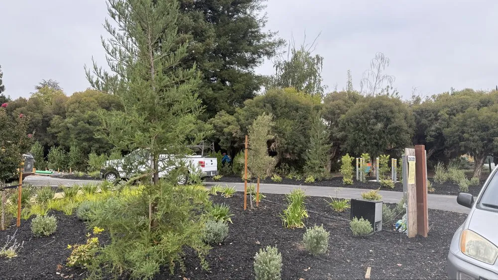 Expert lawn care service for residential properties in San Jose, CA by Bayview Landscape and Maintenance