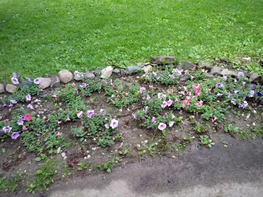 Custom landscaping services experts serving North Ridgeville, OH - Bayview Landscaping & Design LLC