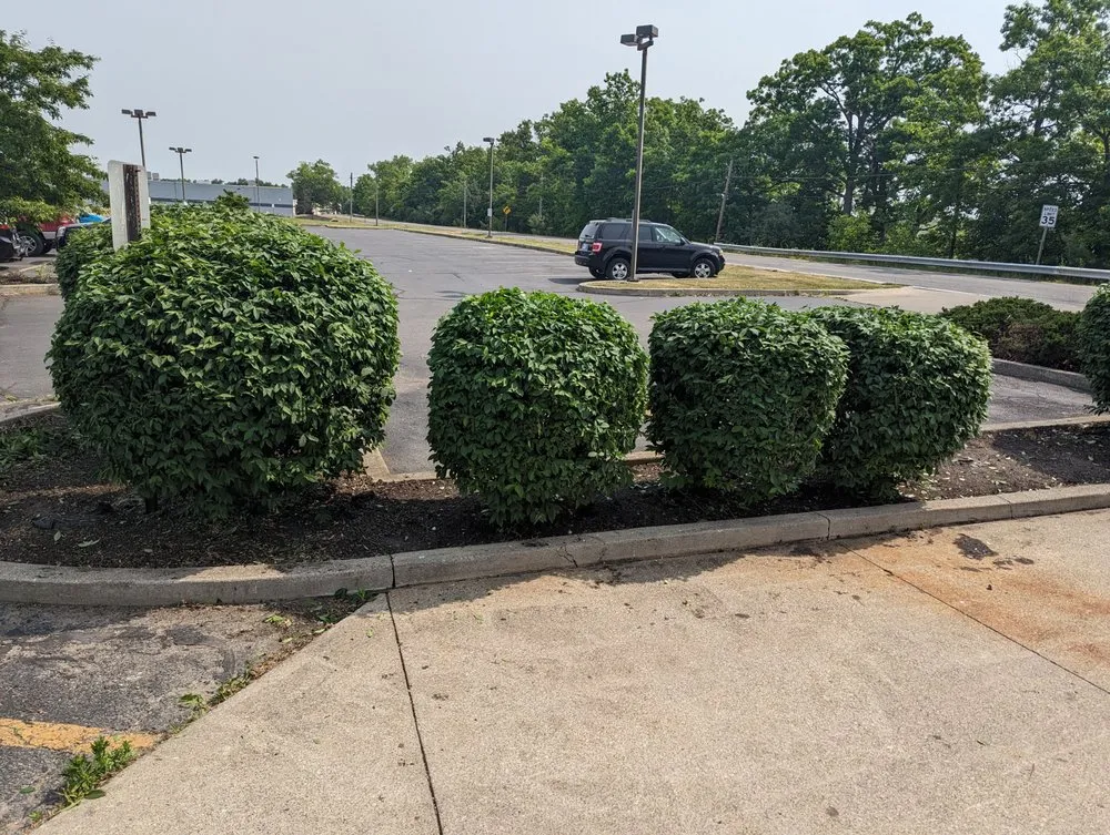 Affordable yard maintenance for residential properties in North Ridgeville, OH by Bayview Landscaping & Design LLC