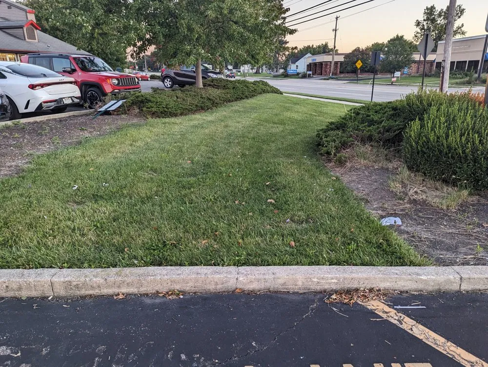 Expert yard cleanup service for residential properties in North Ridgeville, OH by Bayview Landscaping & Design LLC