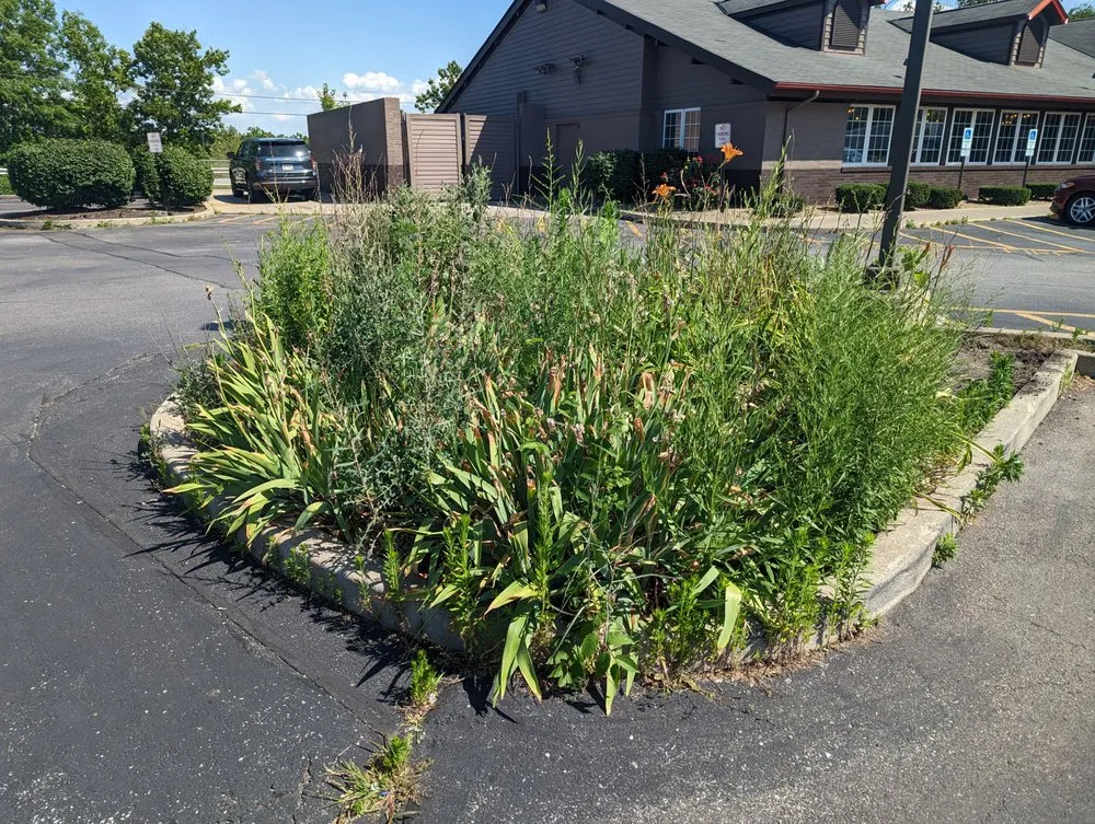 Top-rated residential landscaping near you across North Ridgeville, OH - Bayview Landscaping & Design LLC