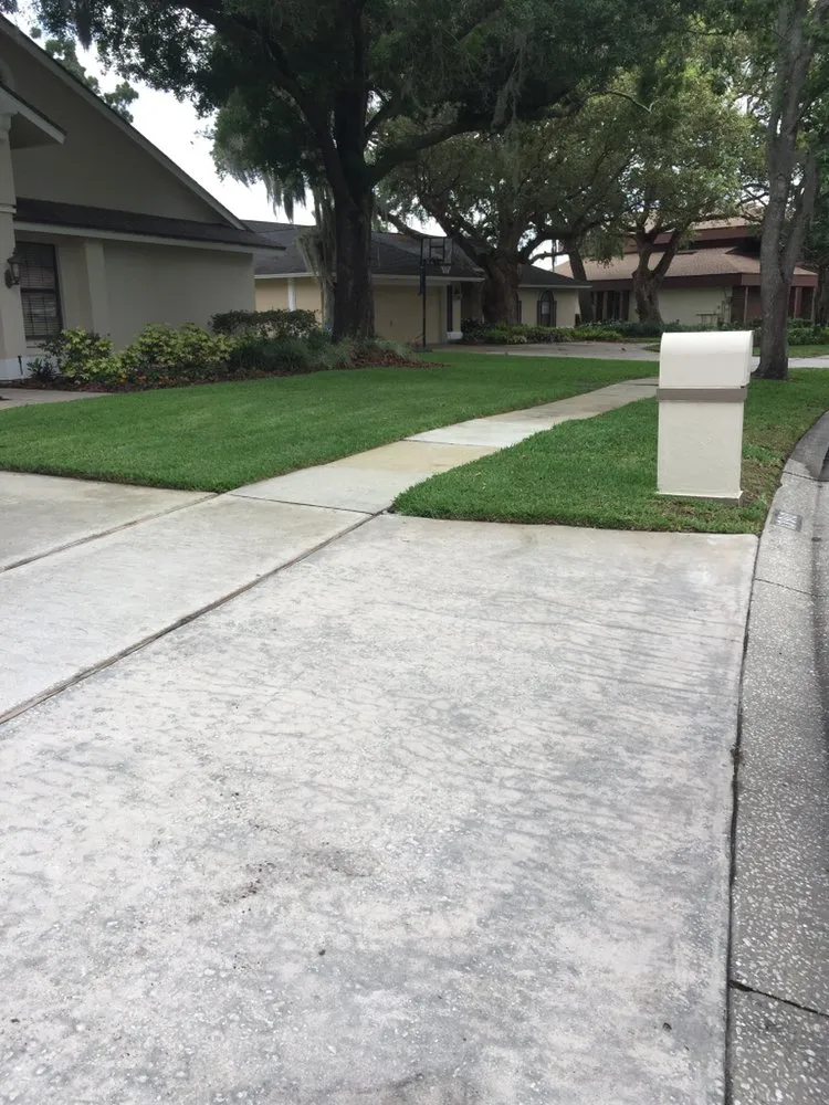 Local garden landscaping in Tampa, FL - Bayview Lawn Care