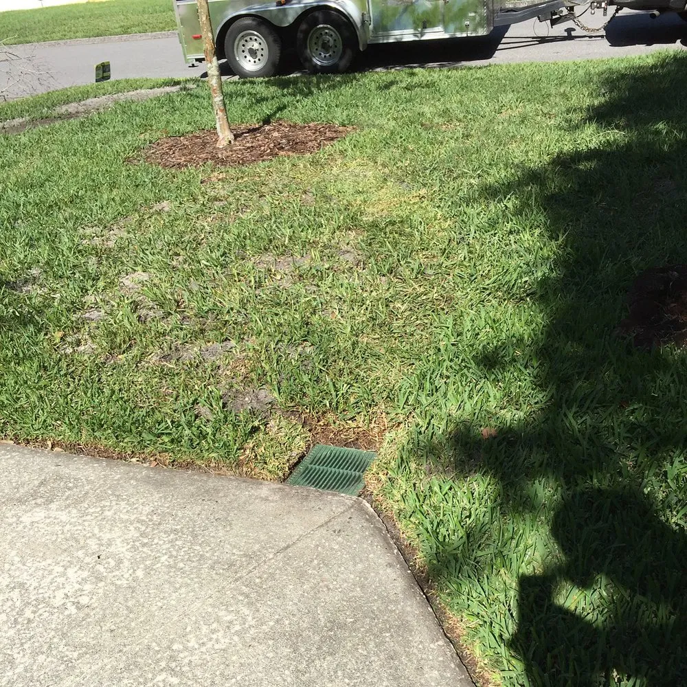 Local garden landscaping in Tampa, FL by Bayview Lawn Care