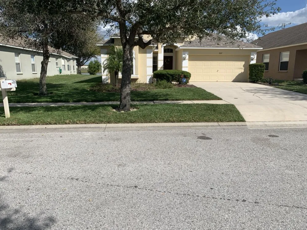 Custom yard maintenance for beautiful yards in Tampa, FL by Bayview Lawn Care