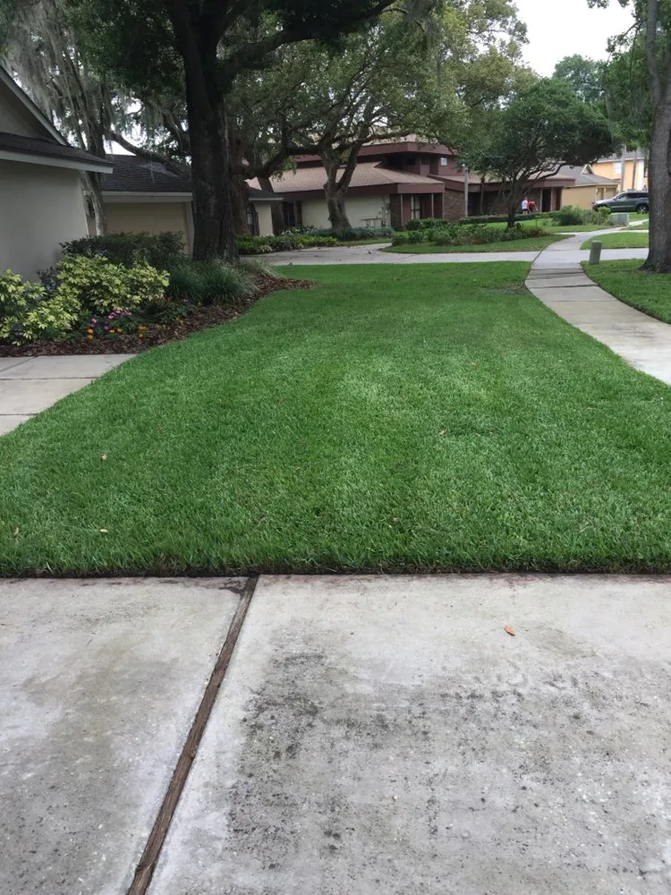 Reliable landscape installation in Tampa, FL - Bayview Lawn Care