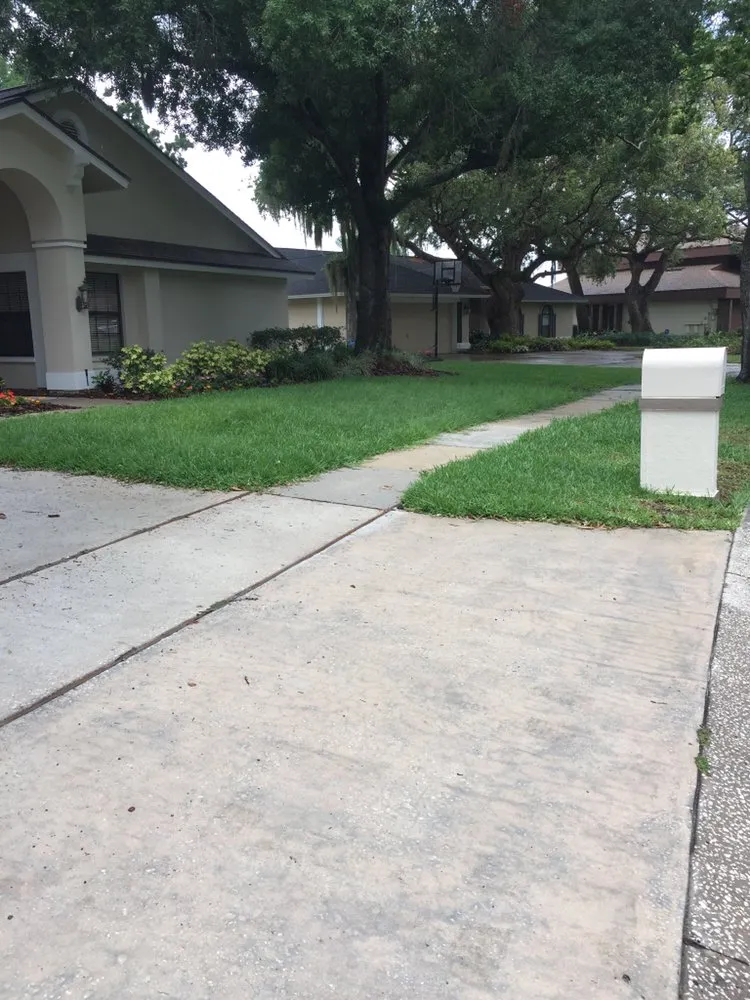 Custom lawn care service in Tampa, FL by Bayview Lawn Care