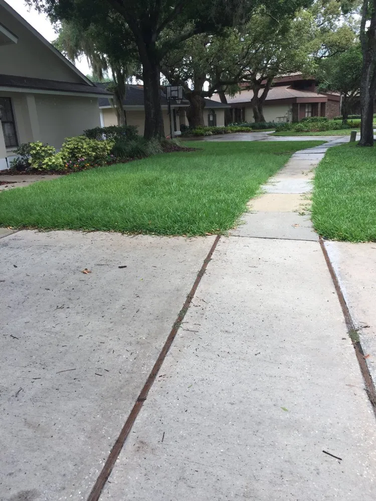 Top-rated lawn care service experts serving Tampa, FL - Bayview Lawn Care