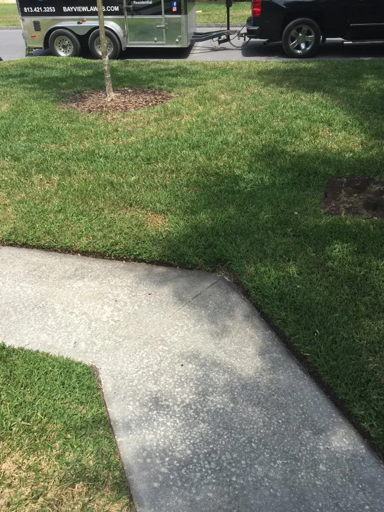 Custom landscape installation experts serving Tampa, FL - Bayview Lawn Care