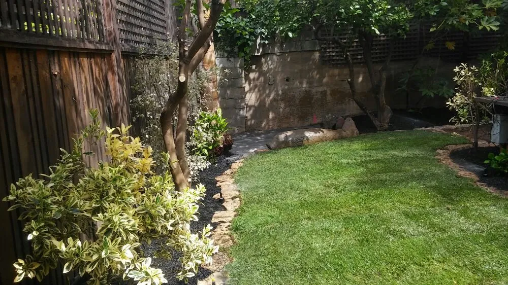 Local landscaping services with custom design across Tracy, CA - Bayviews Landscape